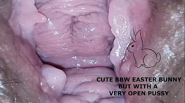 최신 Cute bbw bunny, but with a very open pussy 메가 클립