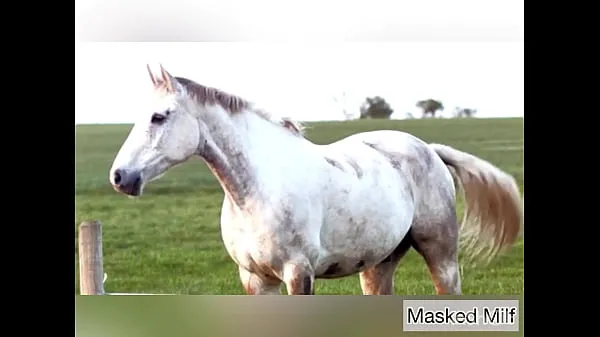 Φρέσκα Horny Milf takes giant horse cock dildo compilation | Masked Milf mega κλιπ