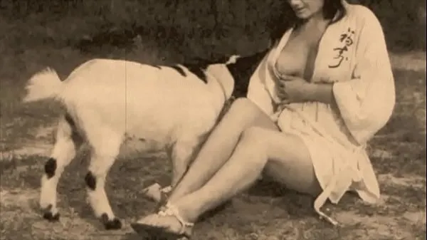 Mujeres salvajes vintage y chicas de la naturaleza megaclips nuevos